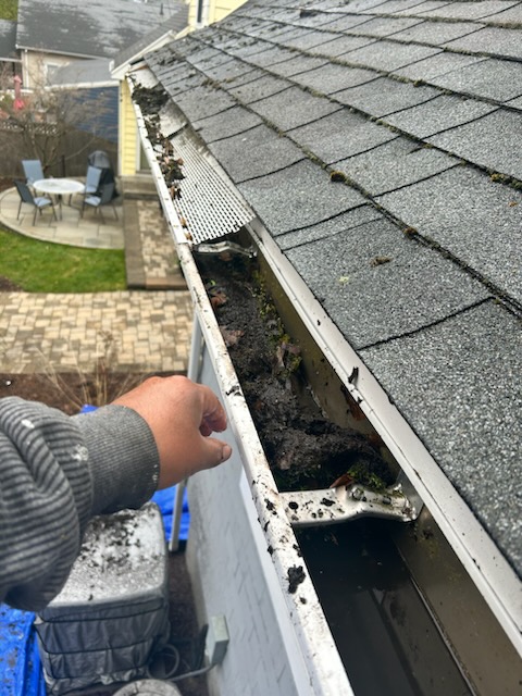 Gutter Cleaning